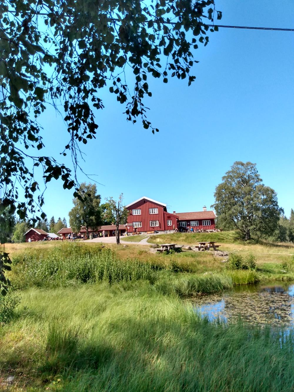 Ullevålseter dammen blader