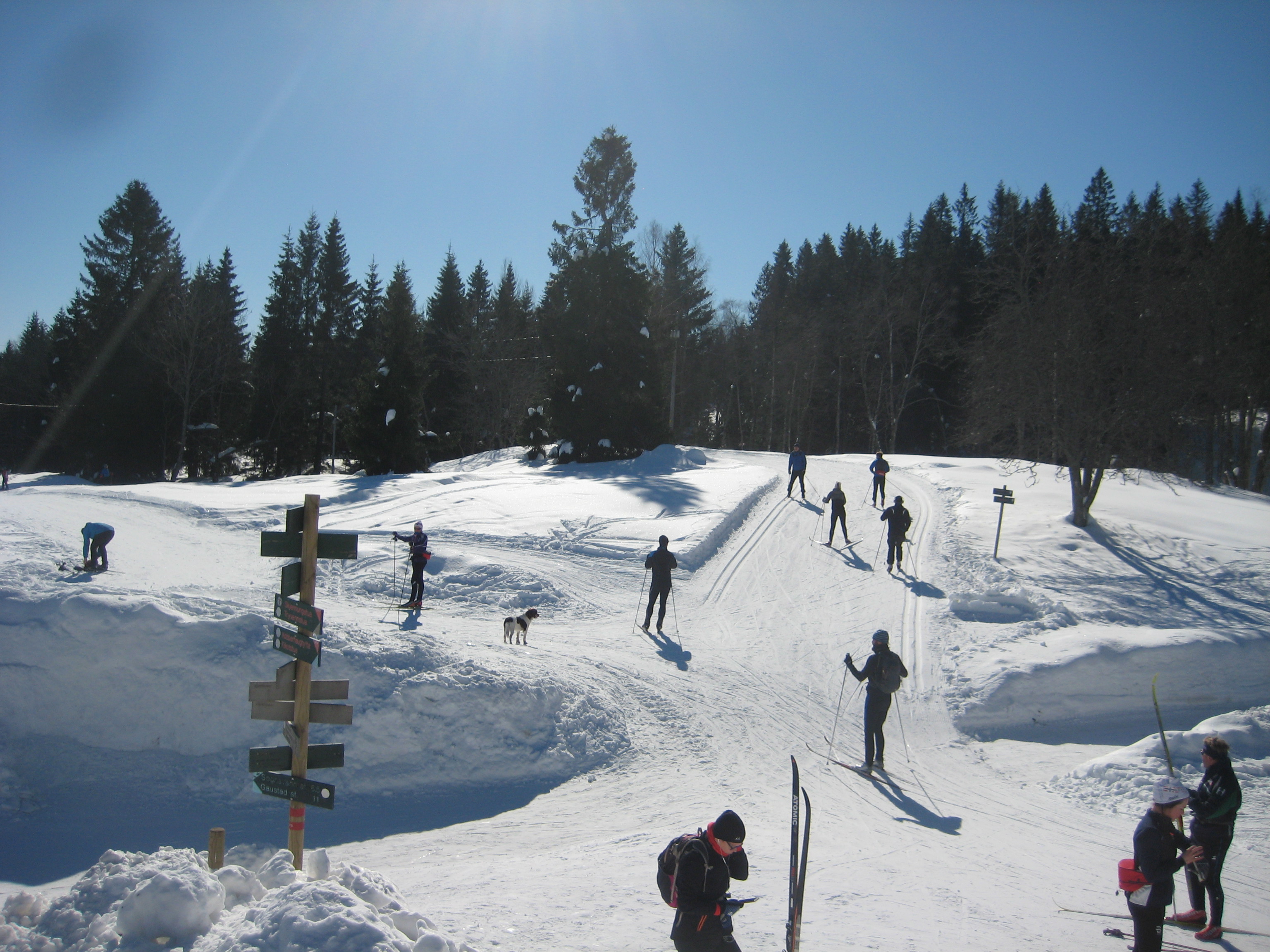masse snø kryss med skiløpere