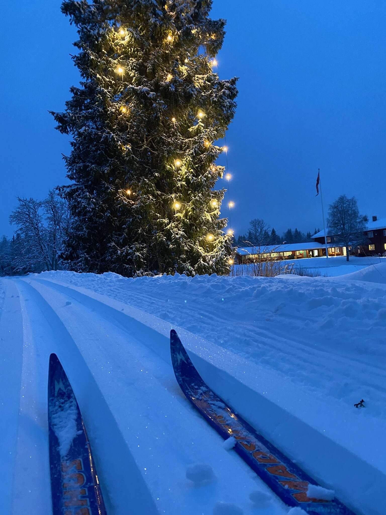 På ski, julegran